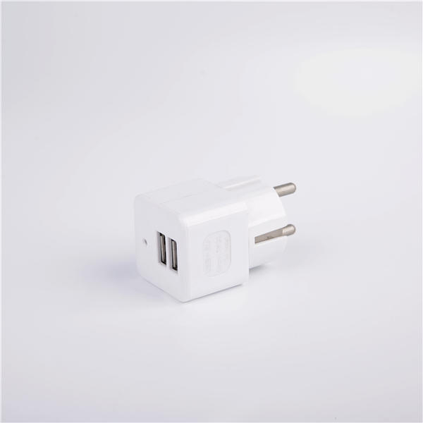 ZC2U-9 USB products manufacturers supply German style with USB pins